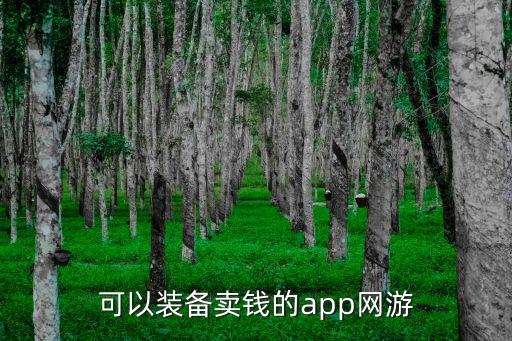 哪些应用可以卖游戏装备，专门卖游戏装备的软件是什么