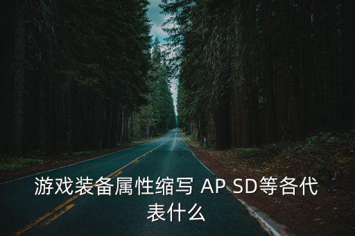游戏装备属性缩写 AP SD等各代表什么