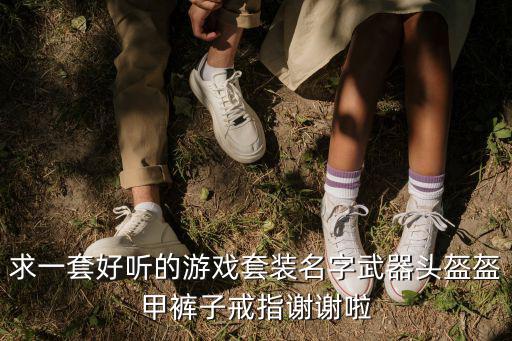 求一套好听的游戏套装名字武器头盔盔甲裤子戒指谢谢啦