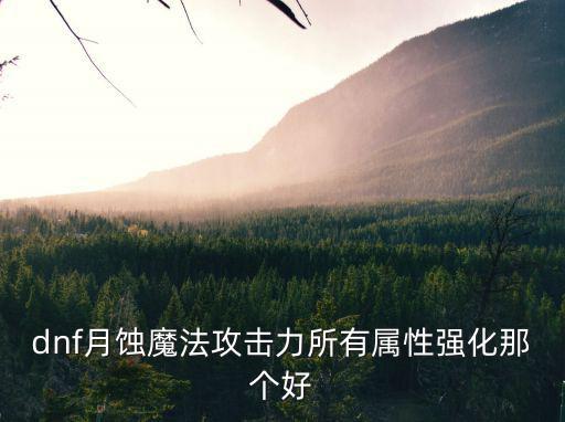 dnf月蚀魔法攻击力所有属性强化那个好
