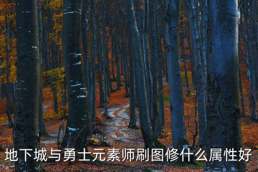 地下城与勇士元素师刷图修什么属性好