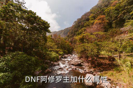 dnf修罗加什么属性，DNF阿修罗应该什么属性