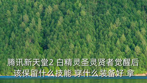 腾讯新天堂2 白精灵圣灵贤者觉醒后 该保留什么技能 穿什么装备好 拿