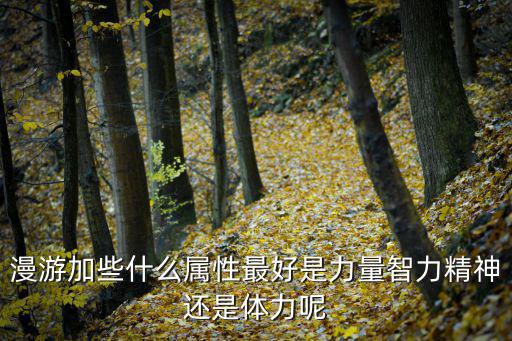 dnf漫游属性加什么，漫游枪手主要加什么属性