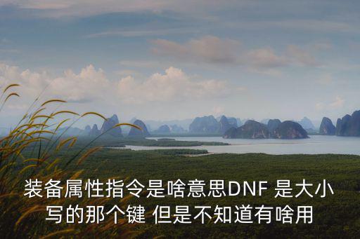 dnf属性指令是什么，装备属性指令是啥意思DNF 是大小写的那个键 但是不知道有啥用