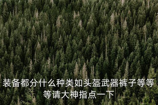 装备都分什么种类如头盔武器裤子等等等请大神指点一下