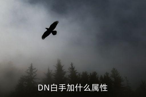 dnf白手走什么属性，关于DNF白手加什么属性好