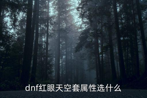 dnf红眼天空套属性选什么