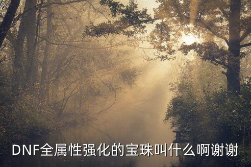 DNF全属性强化的宝珠叫什么啊谢谢