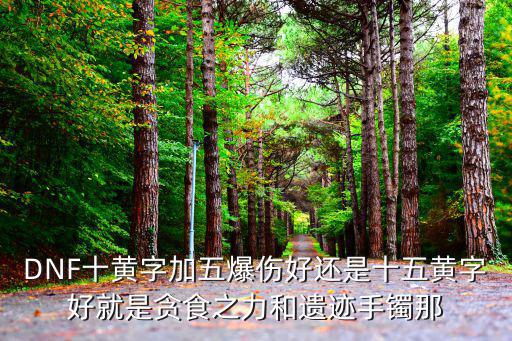 dnf黄字加什么属性，DNF十黄字加五爆伤好还是十五黄字好就是贪食之力和遗迹手镯那