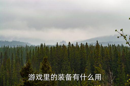 游戏里的装备有什么用