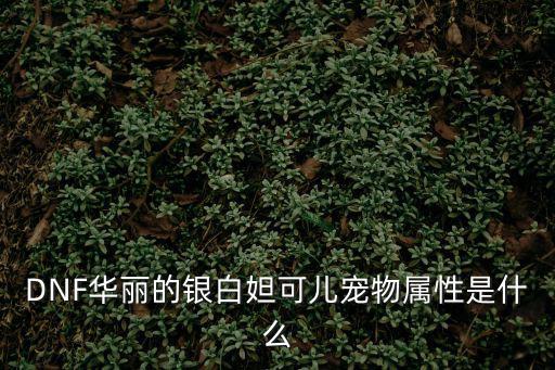 dnf巫女宠物什么属性，DNF女巫是什么属性