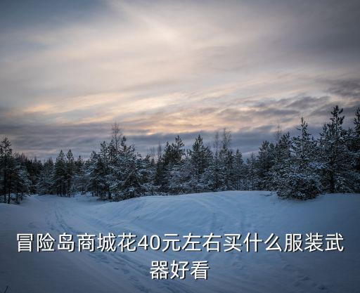 40元以下的游戏装备有哪些，边个有40的装备啊书和铁都得