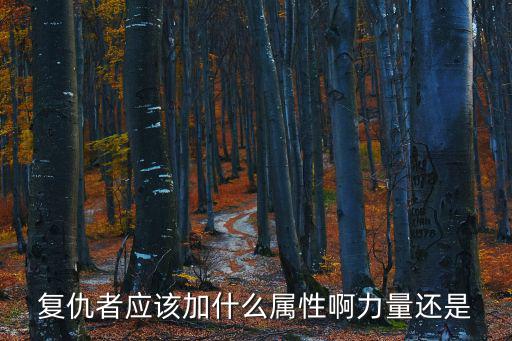 复仇者应该加什么属性啊力量还是