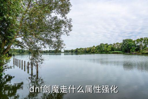 dnf剑魔对什么属性，DNF剑魔主要加什么属性