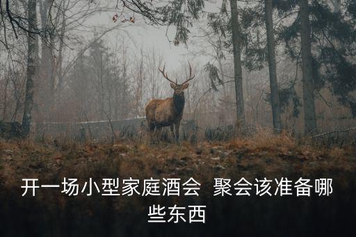 开一场小型家庭酒会  聚会该准备哪些东西