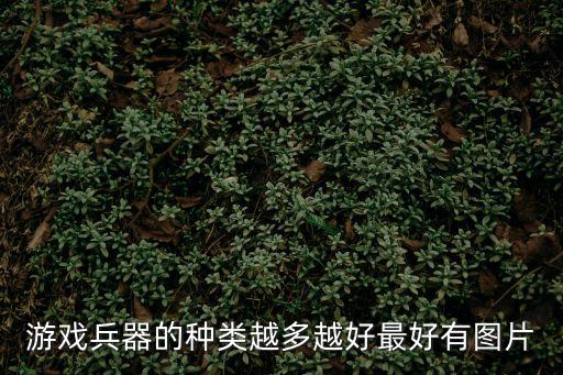 游戏兵器的种类越多越好最好有图片
