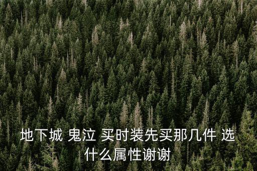 地下城 鬼泣 买时装先买那几件 选什么属性谢谢