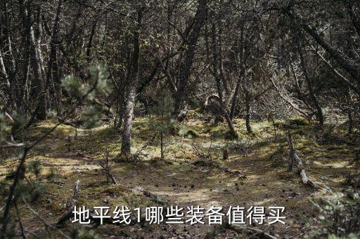 什么东西最值得买游戏装备，现在的大型端游中有哪些游戏的装备比较保值啊