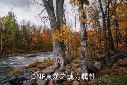 Dnf龙枪推什么属性，DNF真龙之魂力属性