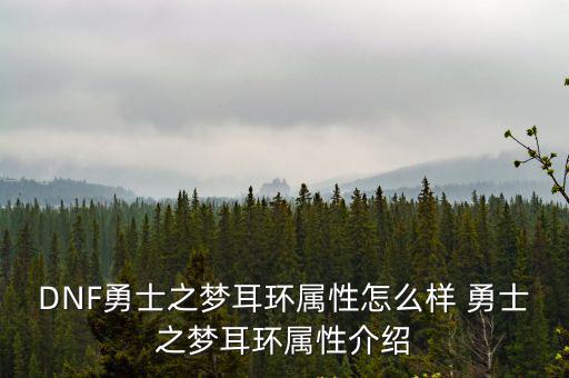 DNF勇士之梦耳环属性怎么样 勇士之梦耳环属性介绍