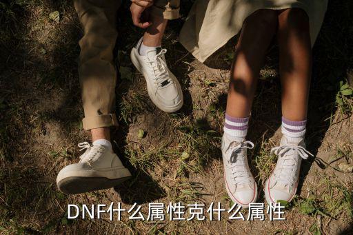 DNF什么属性克什么属性
