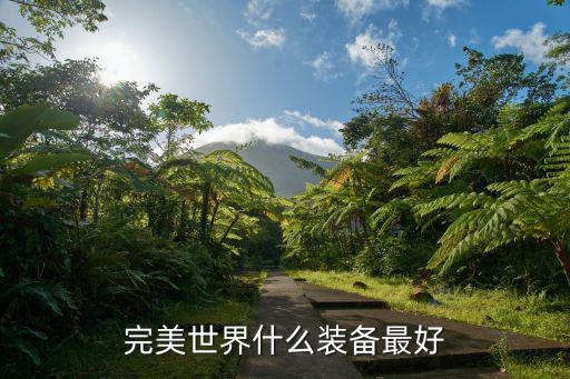 完美世界什么装备最好