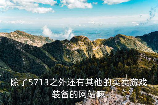 海外游戏装备买卖网站有哪些，除了5713之外还有其他的买卖游戏装备的网站嘛