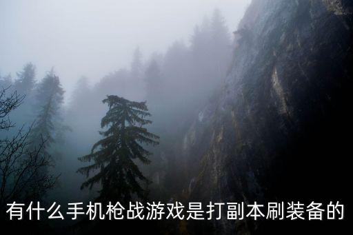 有什么手机枪战游戏是打副本刷装备的