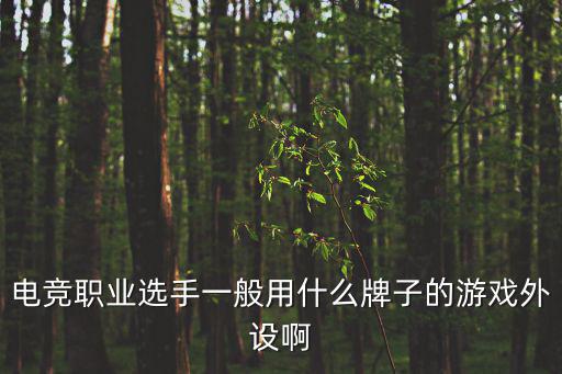 电竞职业选手一般用什么牌子的游戏外设啊