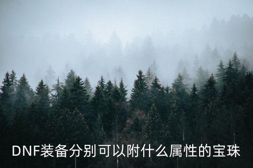 DNF装备分别可以附什么属性的宝珠