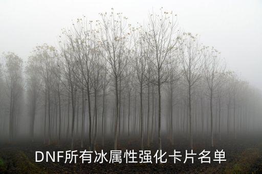DNF所有冰属性强化卡片名单