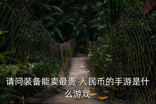 请问装备能卖最贵 人民币的手游是什么游戏