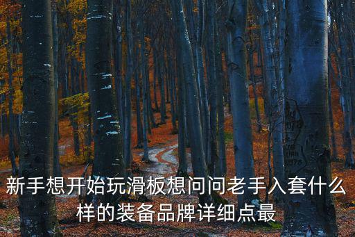 新手想开始玩滑板想问问老手入套什么样的装备品牌详细点最