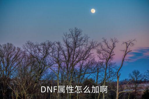 dnf 龙神 加什么属性，DNF龙神什么属性的最新相关信息