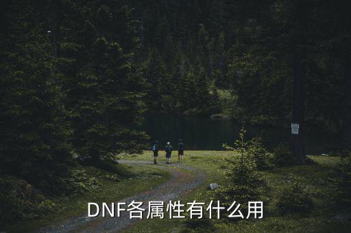 dnf属性有什么好处，DNF各属性有什么用