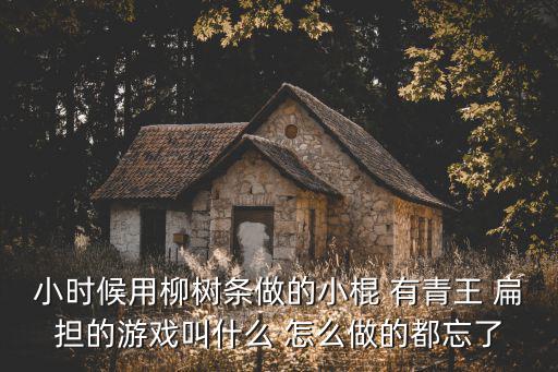 小时候用柳树条做的小棍 有青王 扁担的游戏叫什么 怎么做的都忘了