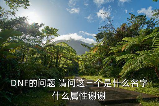 DNF的问题 请问这三个是什么名字什么属性谢谢