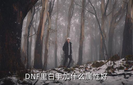 dnf白手是什么属性，DNF白手对什么属性好