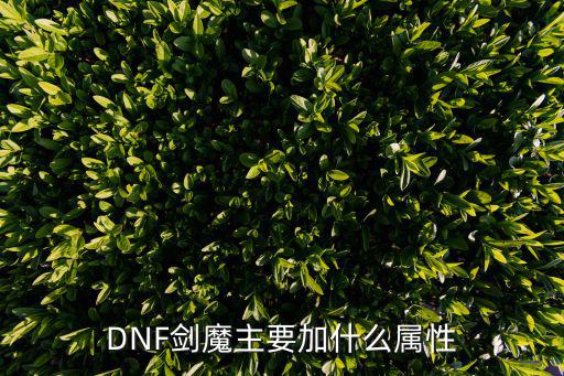 DNF剑魔主要加什么属性