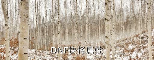 dnf史诗选什么属性，DNF抉择属性