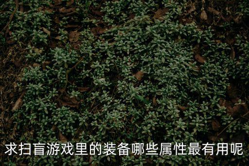 游戏装备都有哪些属性，求扫盲游戏里的装备哪些属性最有用呢
