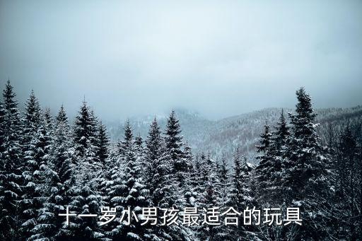 11岁男孩游戏装备有哪些，11岁的小孩应该玩什么游戏