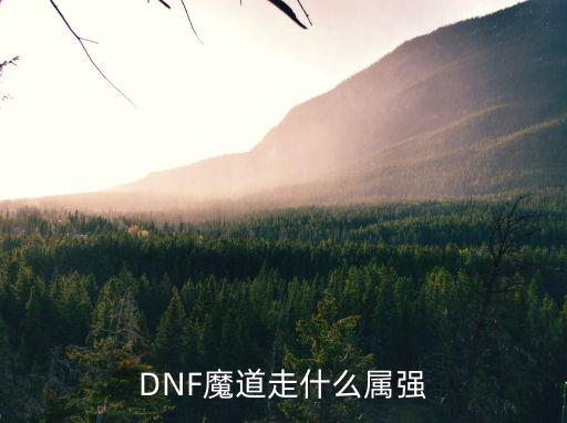 dnf魔道打什么属性，DNF魔道是堆什么属性