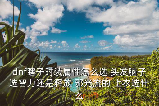 dnf瞎子头发什么属性，dnf瞎子时装属性怎么选 头发脑子选智力还是释放 邪光流的 上衣选什么