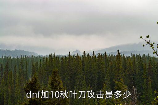 dnf加10秋叶刀攻击是多少