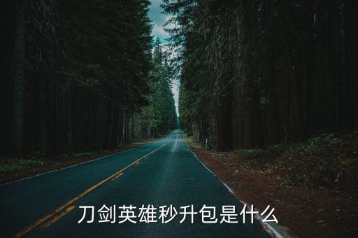 刀剑英雄秒升包是什么