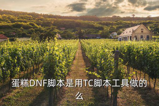 dnf蛋糕属于什么属性，蛋糕DNF脚本是用TC脚本工具做的么