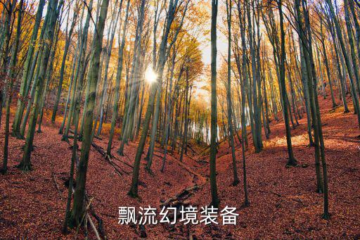 飘流幻境装备