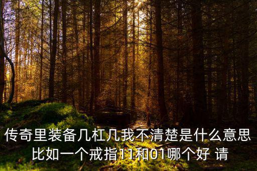 传奇里装备几杠几我不清楚是什么意思 比如一个戒指11和01哪个好 请